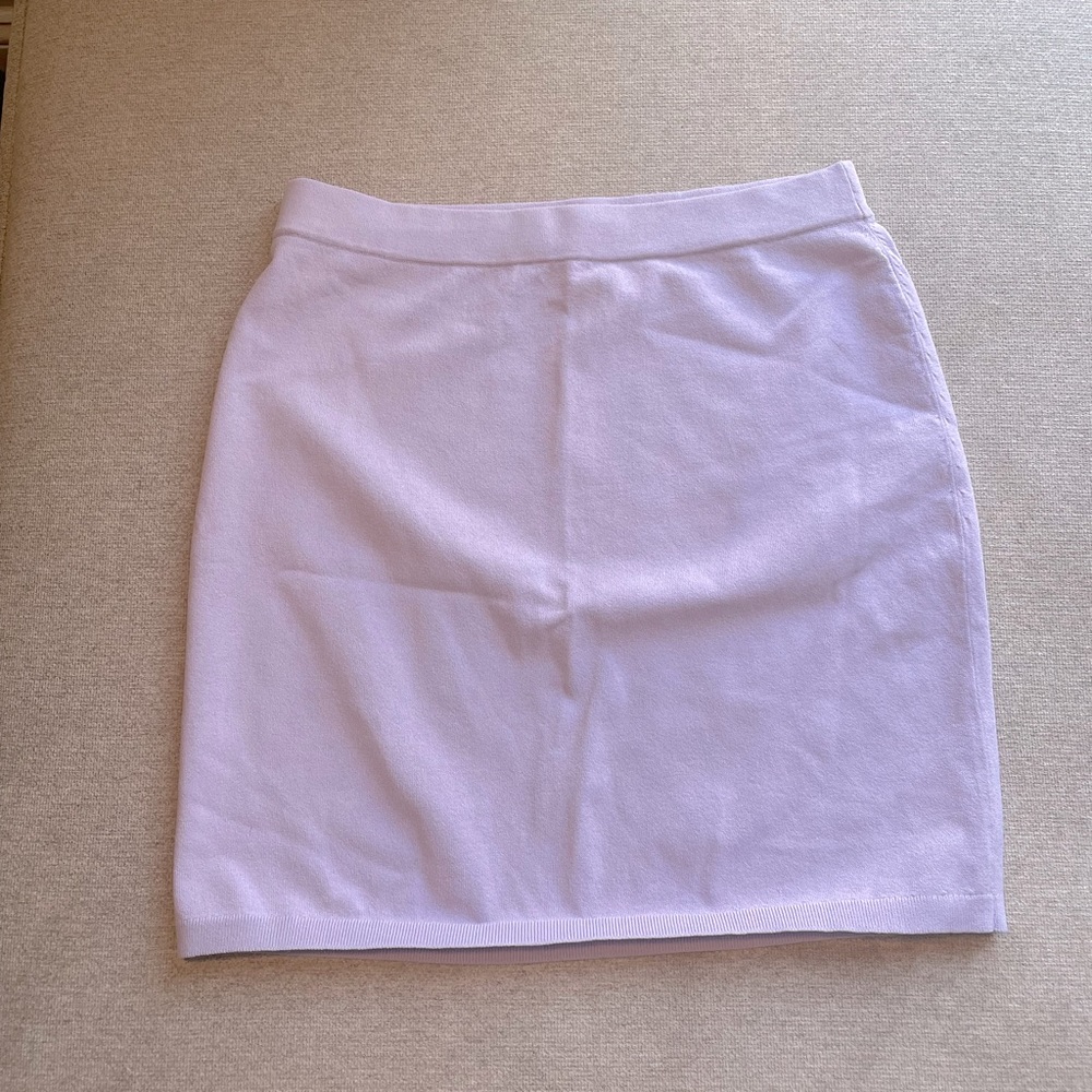 Aritzia- skirt